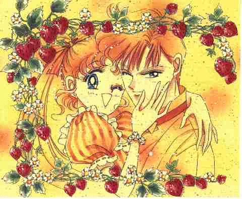 Bunny et Bourdu - Usagi et Mamoru